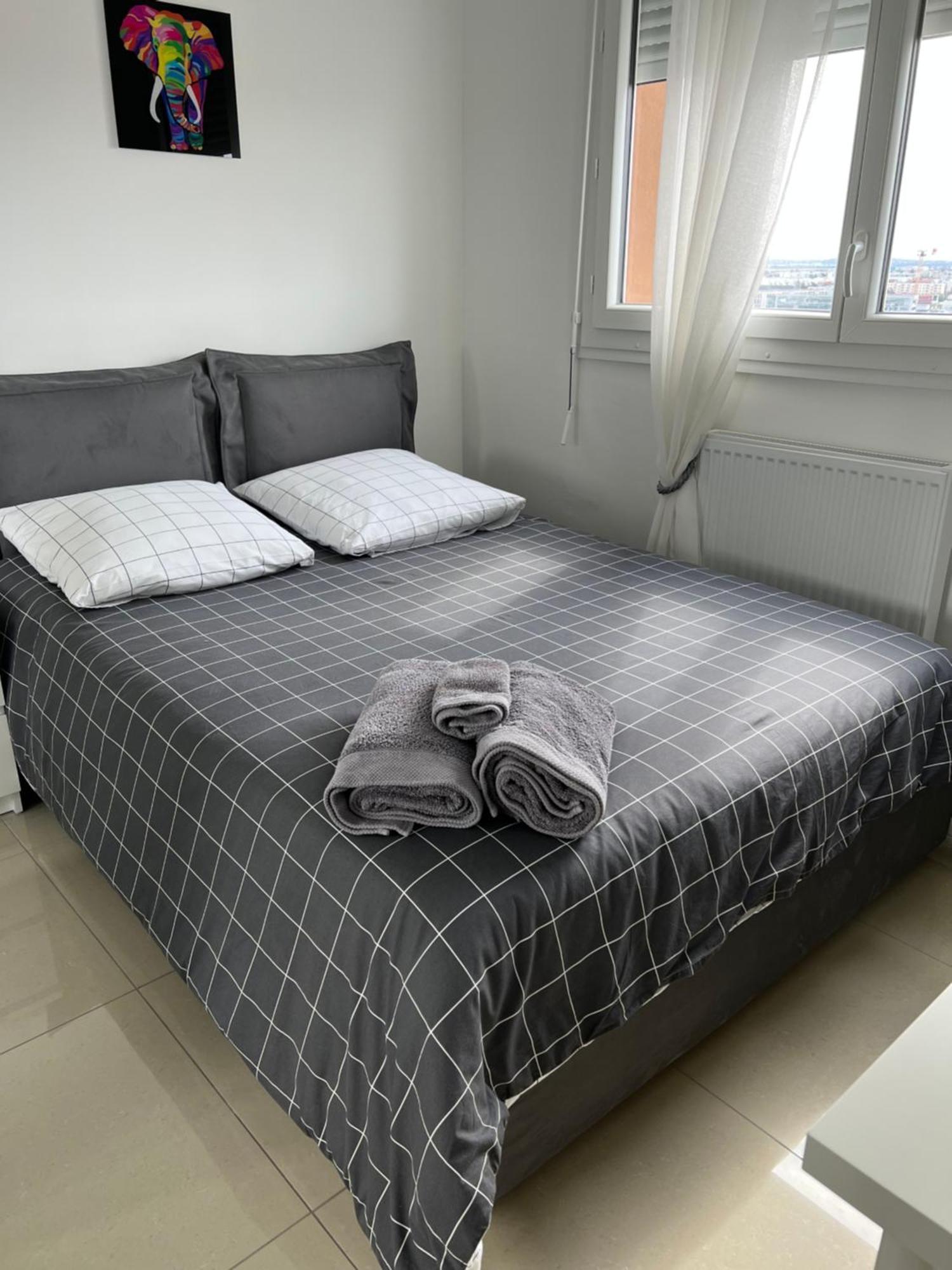 Super 4 Pieces Refait A Neuf Apartamento Villeurbanne Exterior foto
